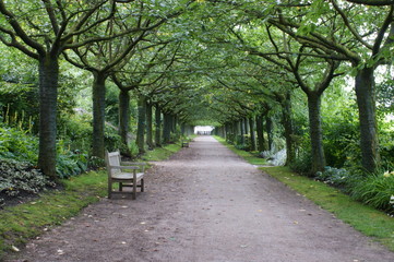  chemin boisé dans le jardin de l'abbaye de Valloires