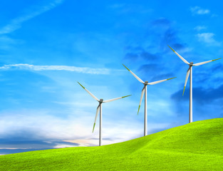 Wall Mural - Wind turbines farm on green field