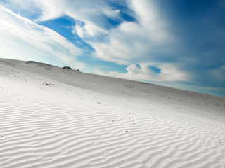 Wall Mural - desert sahara