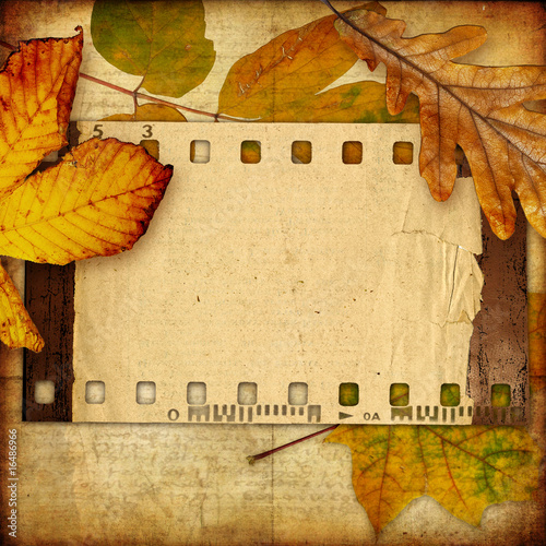 retro background with frame and autumn leaves