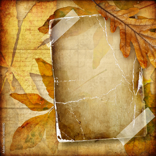 vintage autumn composition with old paper frame