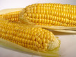 kukurydza w kolbach