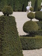 Arboles geometricos en el Palacio de Versalles