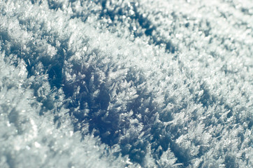 Snow texture