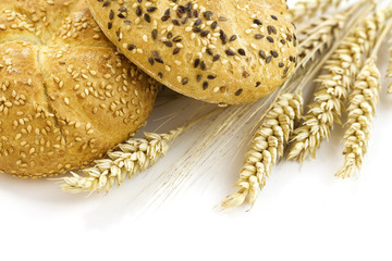 Wheat and bread