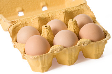 Sticker - eggs in paper egg carton