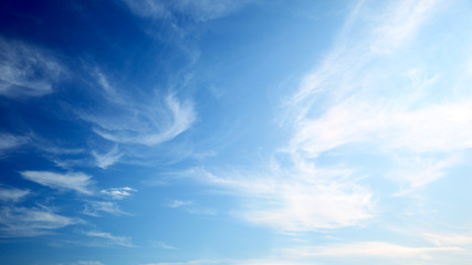 Wall Mural - perfect blue sky