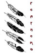 vector illustration tattoo design set (feathers)
