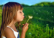 Little girl blowing dandelion on a meadow