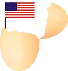 Wall Mural - American egg