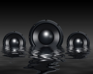 Speakers in water