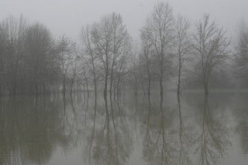 Naklejka na meble Brouillard sur Indre en crue