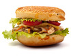 © Focalexus - Hamburger closeup view