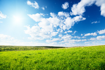 Canvas Print - green field of grass