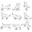 dog drawing set