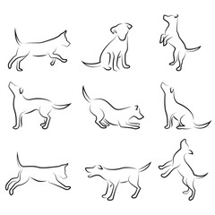 dog drawing set