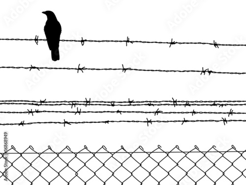 Cuadros en Lienzo Alambre de espino con pajaro