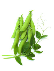 Pea