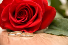Wedding Rings And Red Rose