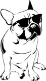 Cool Boy - French Bulldog