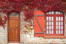 Autumn Red Vine On House