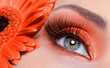 © Valua Vitaly - false eyelashes and fashion orange eye make-up