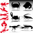 sea crabs red and black vector silhouettes
