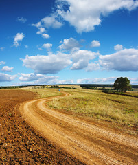 Wall Mural - Road