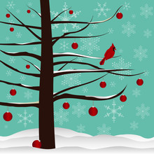Christmas Tree And Red Cardinal Background