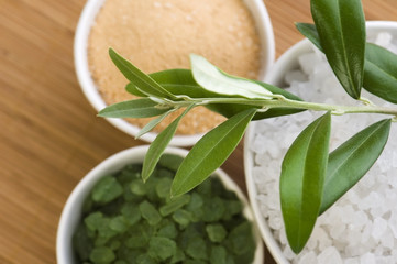 fresh olive branch and bath salt. spa