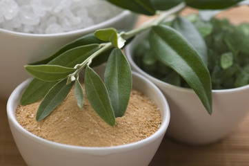 fresh olive branch and bath salt. spa