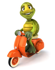 Poster - Tortue et scooter