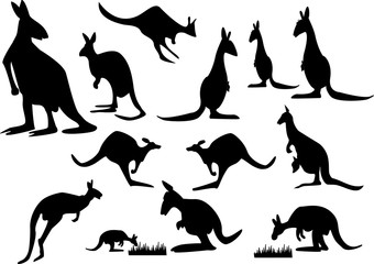 Poster - kangaroo silhouette