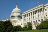 Fototapeta Miasta - US Capitol Building