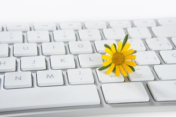 concept of flowers growing from computer