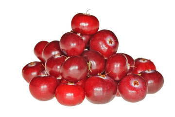 Wall Mural - heap of red ripe cranberries