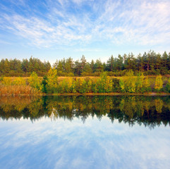 Wall Mural - View to river`s shore at autumn day