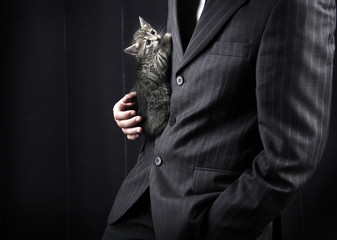 businessman in grey suit and striped kitten in his hands. Ñlose-