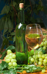 Wall Mural - Wine glass with bottle for wine tasting