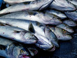 © jimdeli - Pile of Bluefish