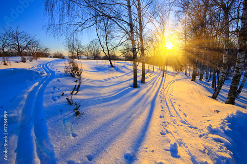 Naklejka - mata magnetyczna na lodówkę Beautiful sunset in winter park