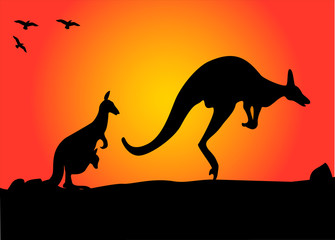 Poster - kangaroo hopping