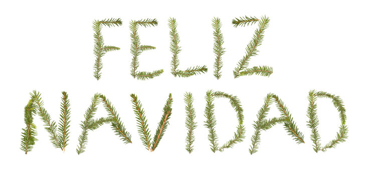 Spruce twigs forming the phrase 'Feliz Navidad'