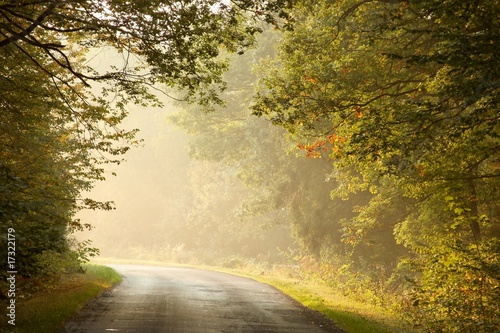 Obraz w ramie Marvelous scenery of the forest before the arrival of autumn