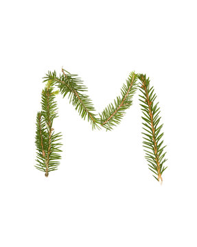 Spruce twigs forming the letter 'M'