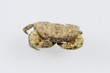 A high resolution image of a small crab on white background