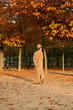 femme dans un parc en automne