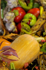 Canvas Print - pumpkin and vegetables