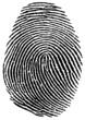 Empreinte Digitale - Fingerprint