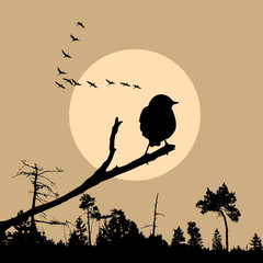 Wall Mural - illustration of the bird on branch